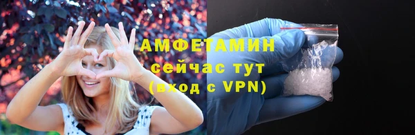 соль ск Алексин