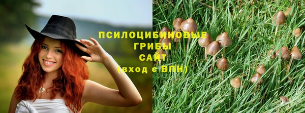 стафф Алексеевка