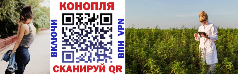продажа наркотиков  блэк спрут зеркало  Бошки марихуана тримм  Бирюч 